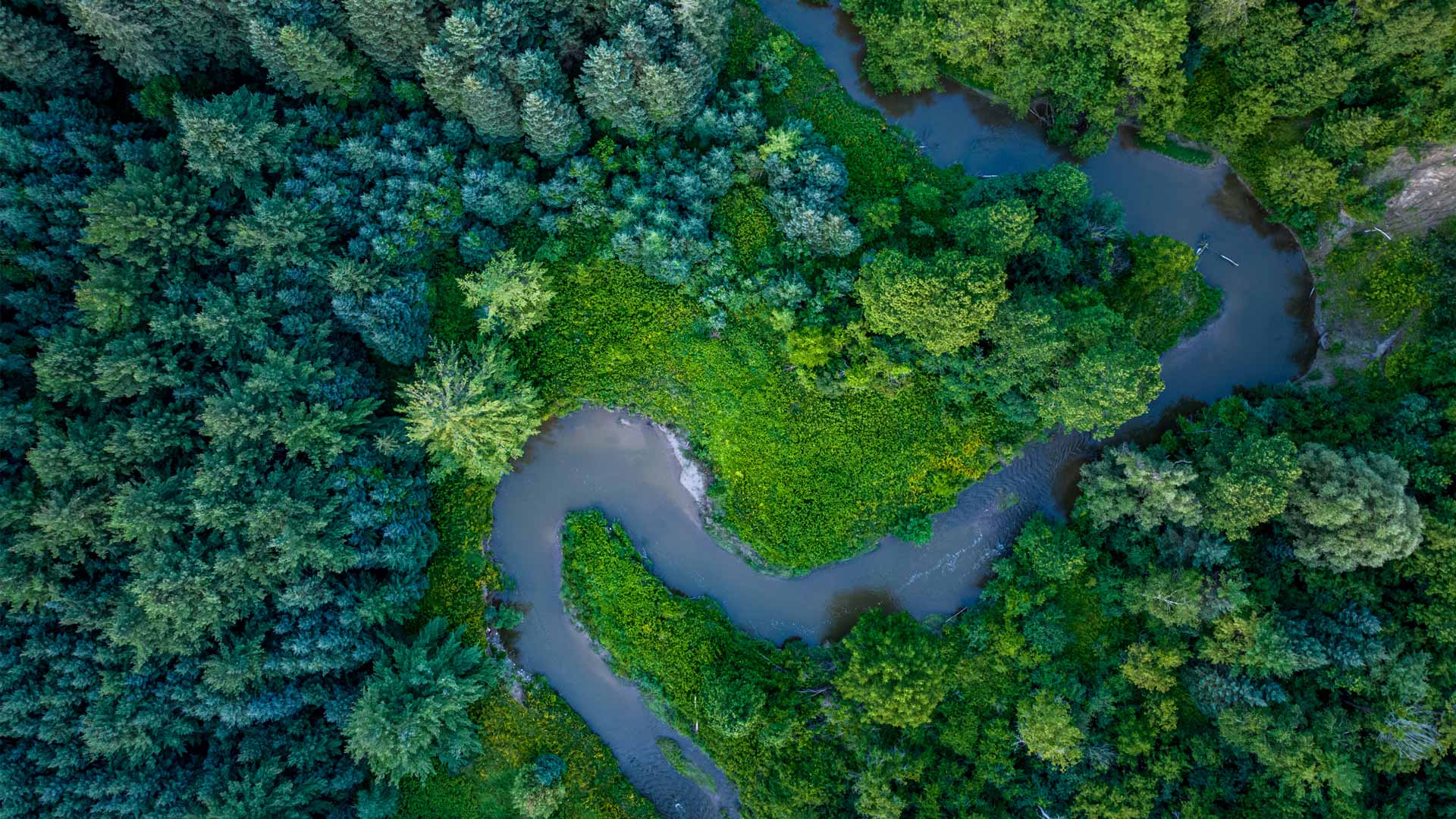 Humber River winding through Boyd Conservation Area, Woodbridge, Vaughan, Ontario (© jimfeng/Getty Images)