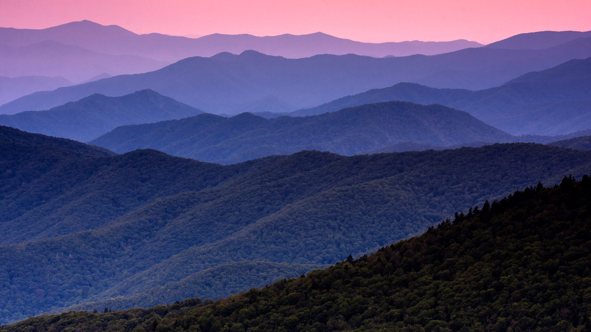 Bing Wallpaper (IN) 20260614 - Sunday, 14th June, 2026