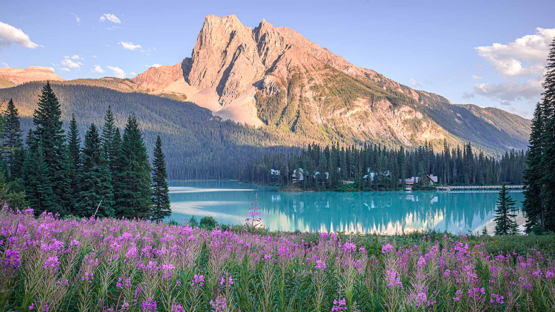 Pink wildflowers by Emerald Lake in summer, Yoho National Park, British Columbia (© Olga Matveeva/Getty Images)