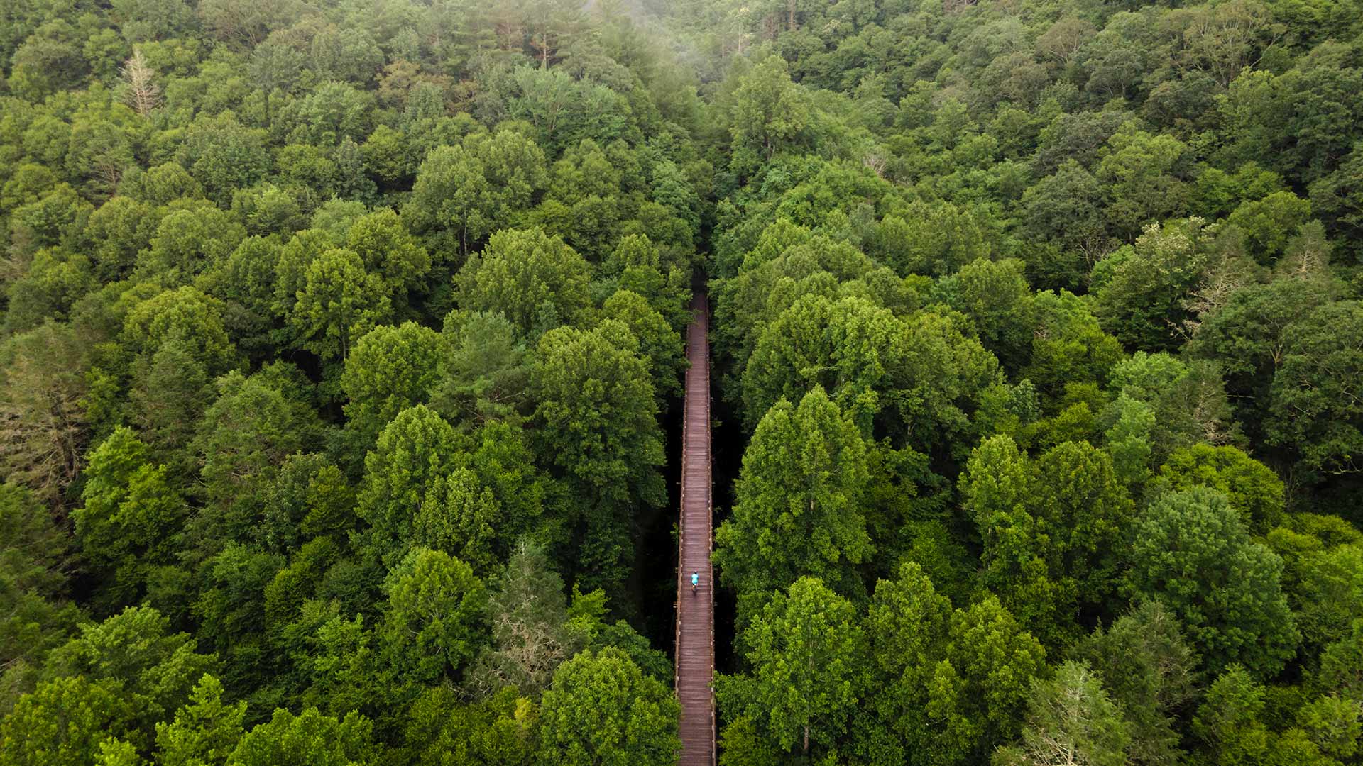 Aerial view of the Virginia Creeper Trail, Damascus, Virginia, United States (© Eifel Kreutz/Getty Images)